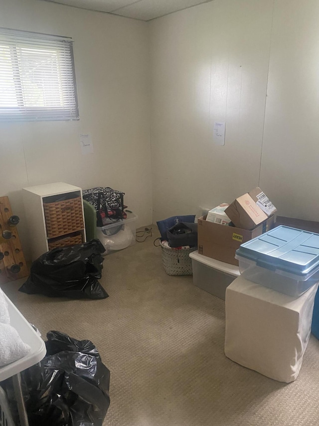 12765 NE Gregware Dr NE, Sand Lake, MI 49343 - miscellaneous room with carpet