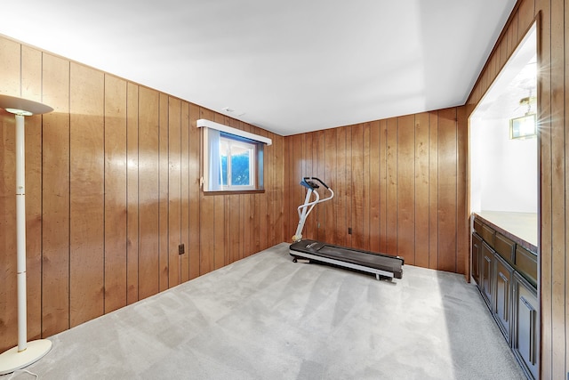 15690 Grainger Dr, Clinton Township, MI 48038 - workout area with wood walls and light carpet