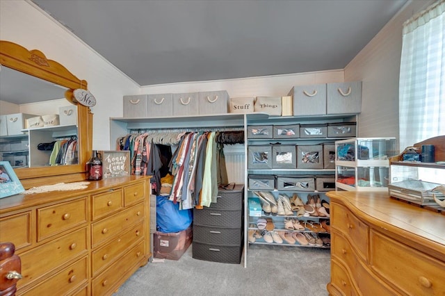 spacious closet with carpet floors