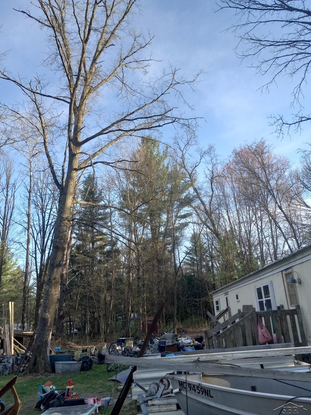 1677 S Sumac Ave, White Cloud, MI 49349 - view of road