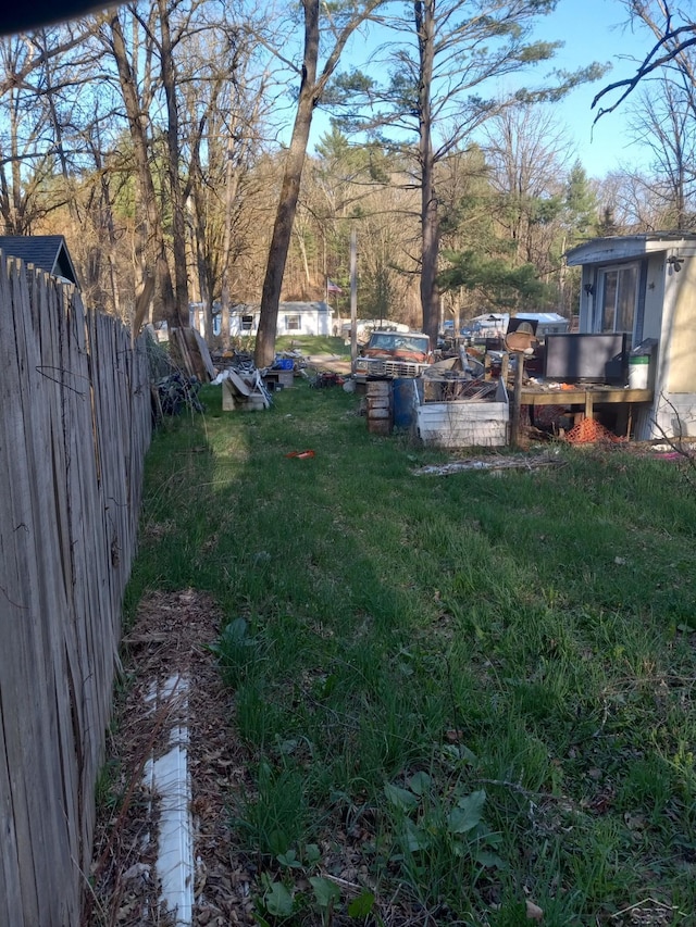 1677 S Sumac Ave, White Cloud, MI 49349 - view of yard
