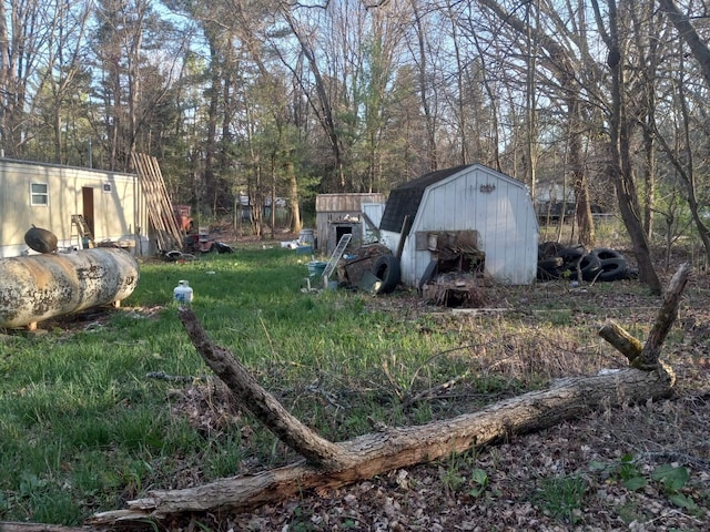 1677 S Sumac Ave, White Cloud, MI 49349 - view of yard featuring a storage unit and an outdoor structure