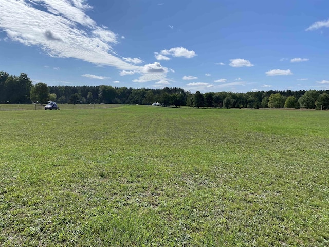 11930 State Rd, Cadillac, MI 49601 - view of woods featuring a view of rural / pastoral area