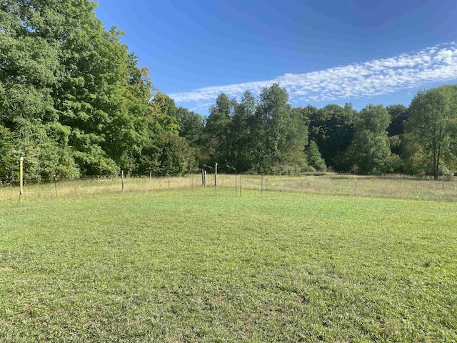 11930 State Rd, Cadillac, MI 49601 - view of yard with a view of trees