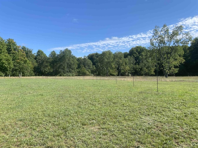 11930 State Rd, Cadillac, MI 49601 - view of grassy yard featuring a forest view