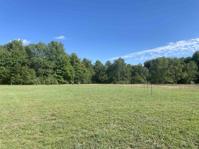 11930 State Rd, Cadillac, MI 49601 - view of green lawn with a forest view