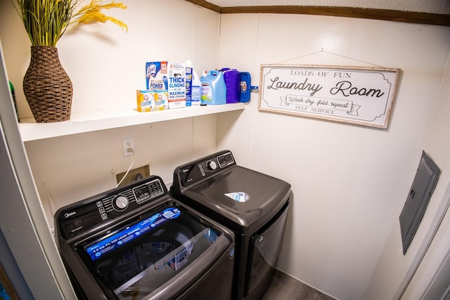 11930 State Rd, Cadillac, MI 49601 - laundry area featuring washing machine and dryer and wood finished floors