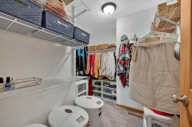 spacious closet featuring carpet floors