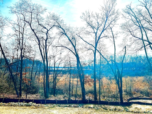 view of local wilderness