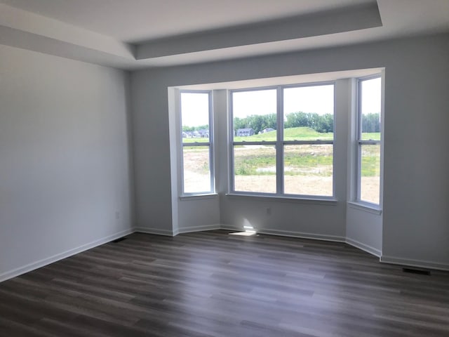 spare room featuring plenty of natural light, dark wood finished floors, baseboards, and a tray ceiling
