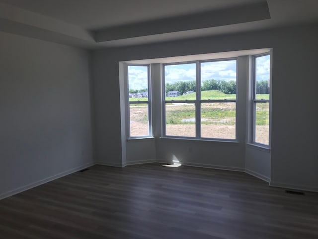 spare room with a tray ceiling, healthy amount of natural light, dark wood-style floors, and baseboards