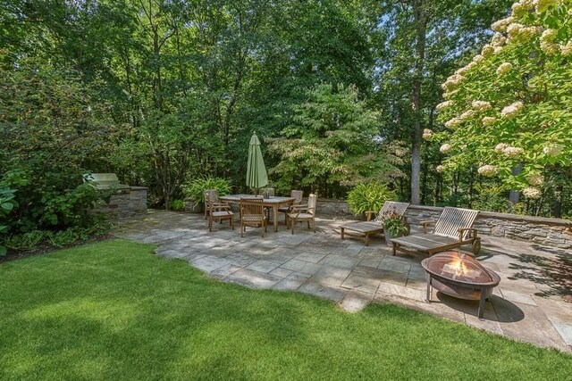 view of green lawn with a patio area, an outdoor fire pit, and an outdoor kitchen