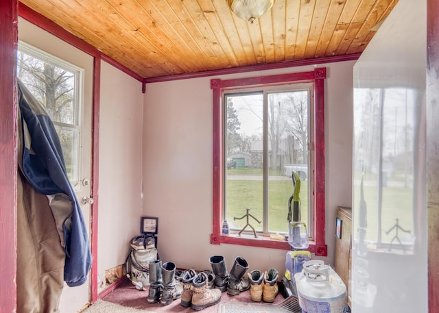 321 N Norman St, Barryton, MI 49305 - interior space with healthy amount of natural light, wooden ceiling, and ornamental molding