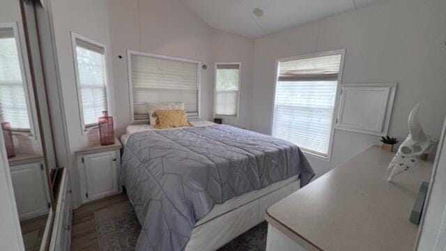 363 W Lake Street 106 &107, Sand Lake, MI 49343 - bedroom featuring vaulted ceiling, multiple windows, and light wood finished floors
