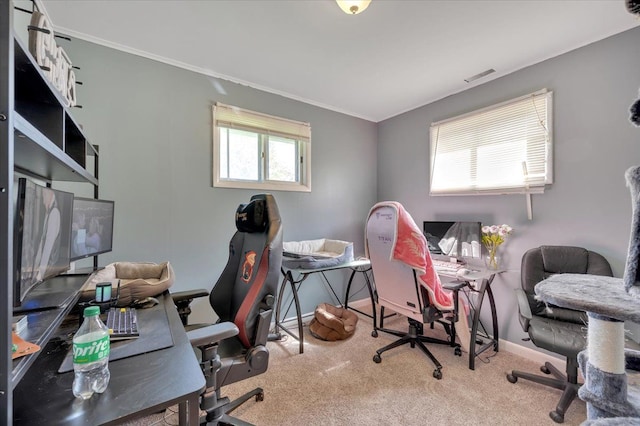 3935 Orr Dr, North Branch, MI 48461 - carpeted office space with baseboards and crown molding