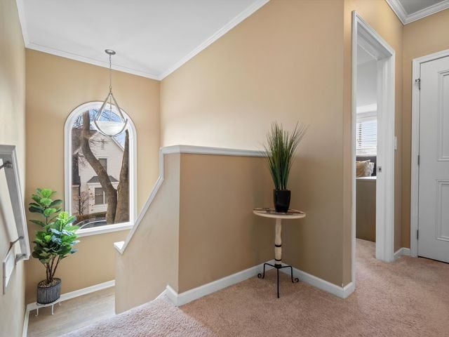 carpeted entryway featuring crown molding and baseboards