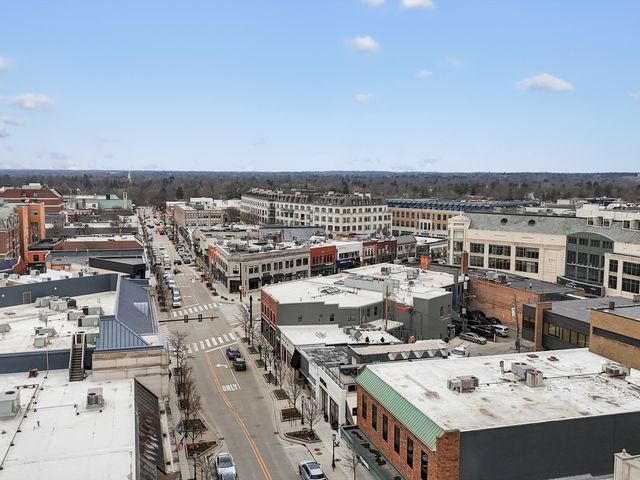 drone / aerial view