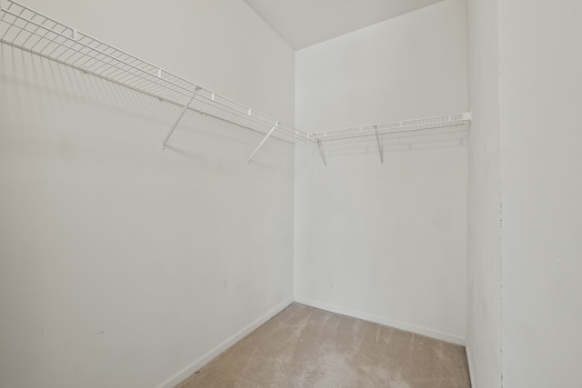 1708 Deepwood Cir, Rochester, MI 48307 - walk in closet featuring light carpet