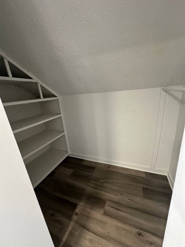 spacious closet featuring dark wood finished floors