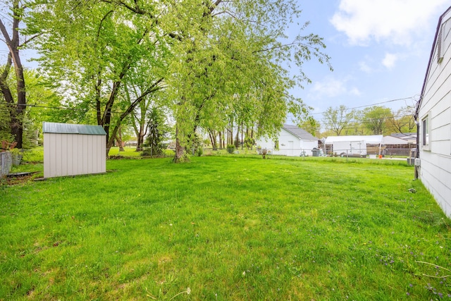 view of yard featuring a storage unit and an outdoor structure