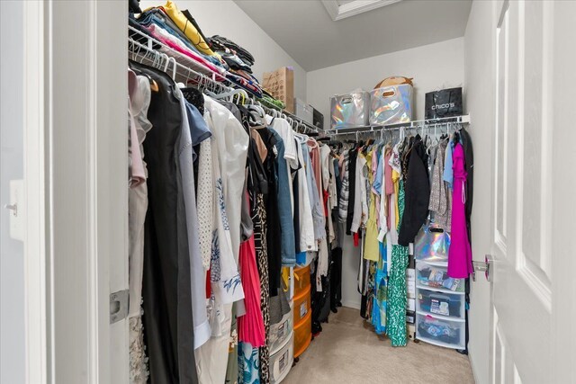 walk in closet with carpet flooring