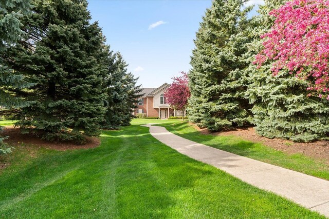 surrounding community with a lawn
