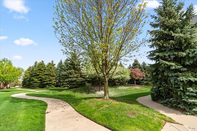 view of home's community featuring a lawn