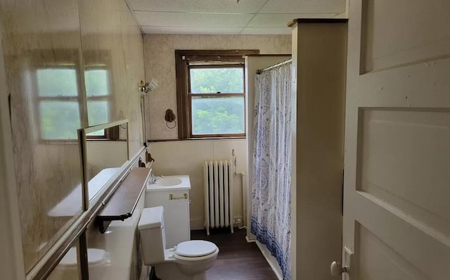 full bath featuring radiator, toilet, wood finished floors, a shower with curtain, and vanity