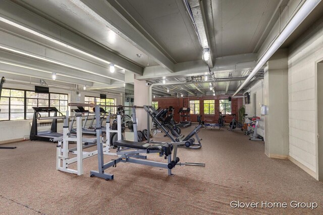 exercise room with carpet