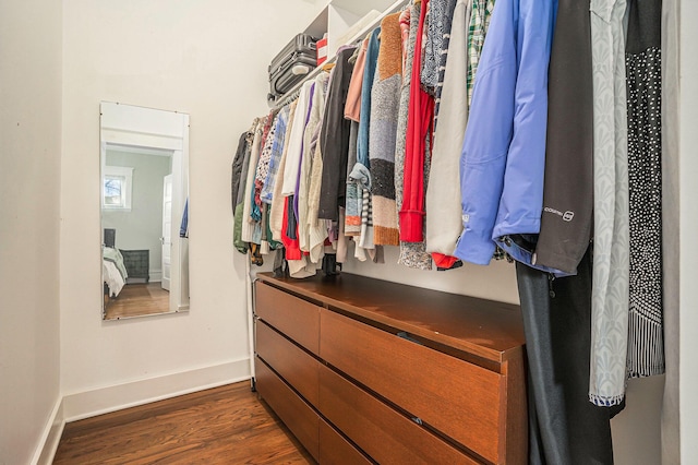 walk in closet featuring dark wood-style floors