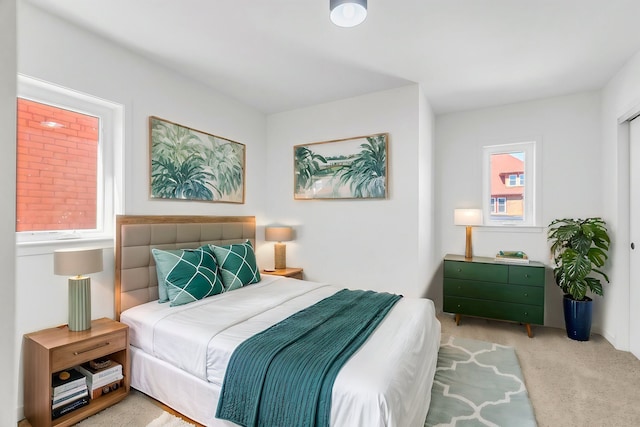 112 Mount Vernon St, Detroit, MI 48202 - view of carpeted bedroom