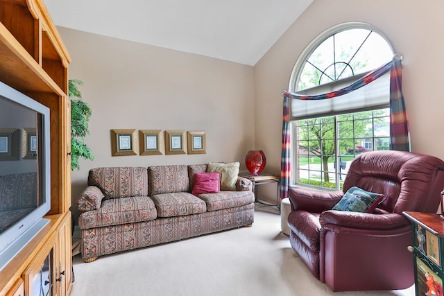 61450 Wedgewood Dr, Washington, MI 48094 - living room featuring vaulted ceiling and carpet floors