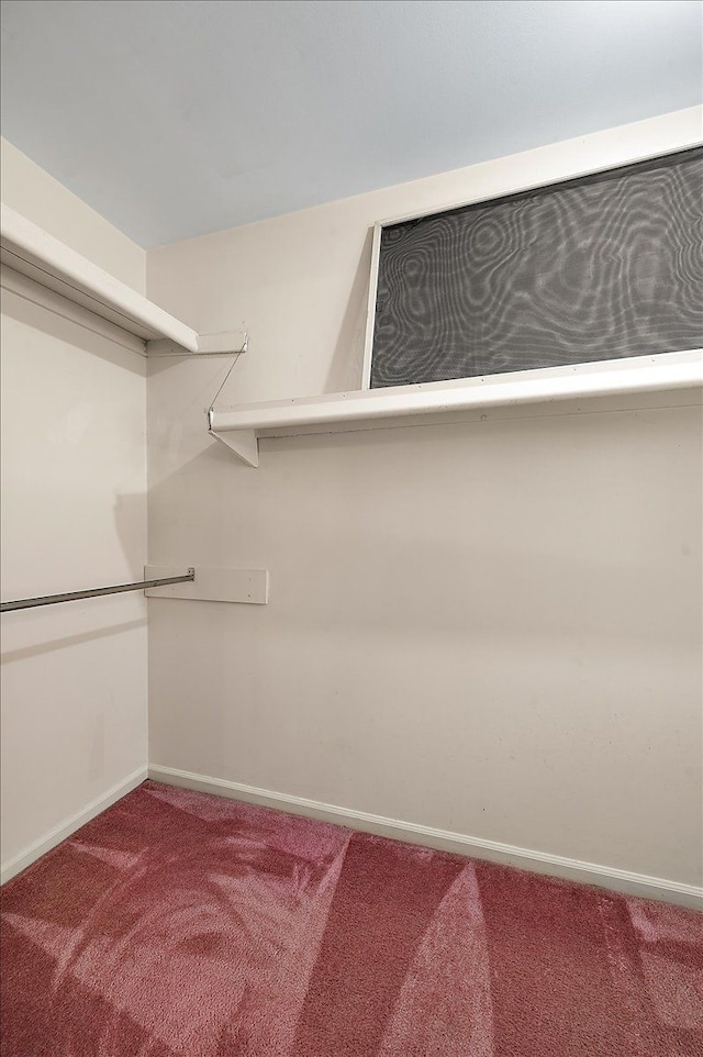 5445 Washakie Trl, Brighton, MI 48116 - spacious closet with carpet flooring