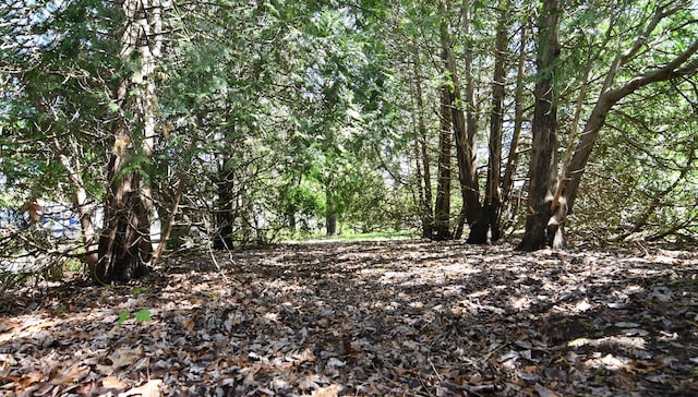 1209 Applewood Dr, White Lake, MI 48386 - view of local wilderness