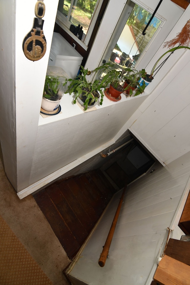 1209 Applewood Dr, White Lake, MI 48386 - detailed view of carpet flooring