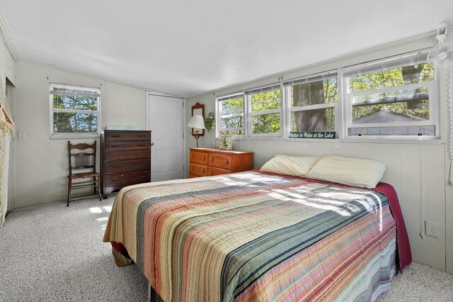 bedroom featuring lofted ceiling, carpet, and a closet