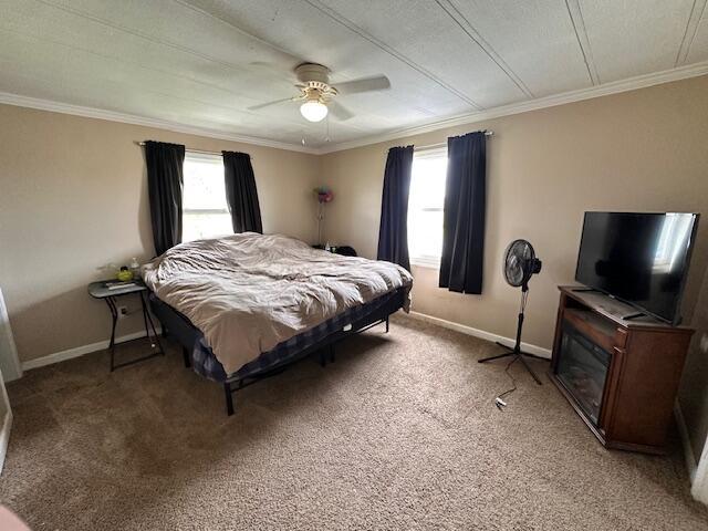 1120 W Montgomery Rd, Camden, MI 49232 - bedroom with multiple windows, ornamental molding, light colored carpet, and baseboards