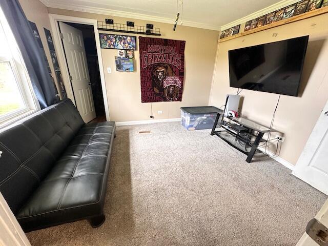 1120 W Montgomery Rd, Camden, MI 49232 - living room with crown molding, carpet flooring, and baseboards