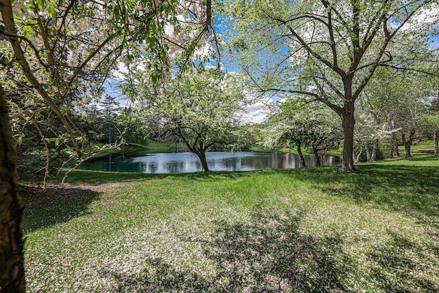 view of grassy yard featuring a water view