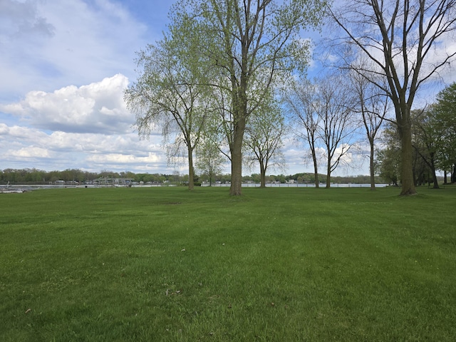 567 Angler Ave, Coldwater, MI 49036 - view of green lawn with a water view