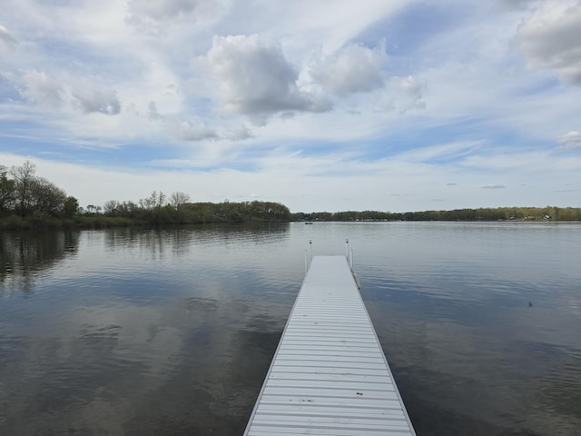 567 Angler Ave, Coldwater, MI 49036 - dock featuring a water view