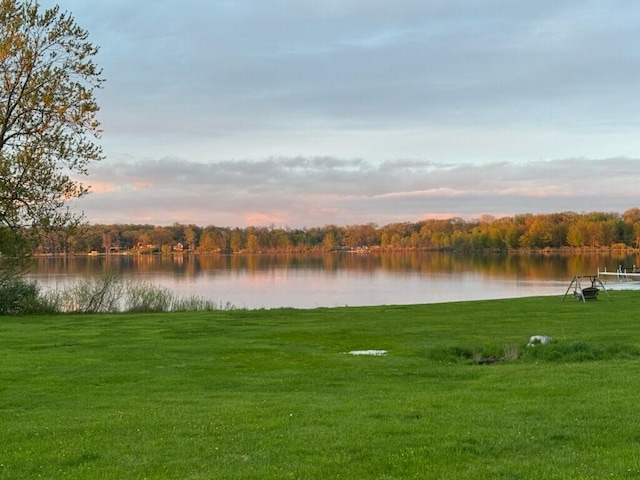 567 Angler Ave, Coldwater, MI 49036 - water view