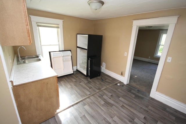 130 W Paterson St, Kalamazoo, MI 49007 - kitchen with a sink, dark wood-style flooring, healthy amount of natural light, and baseboards