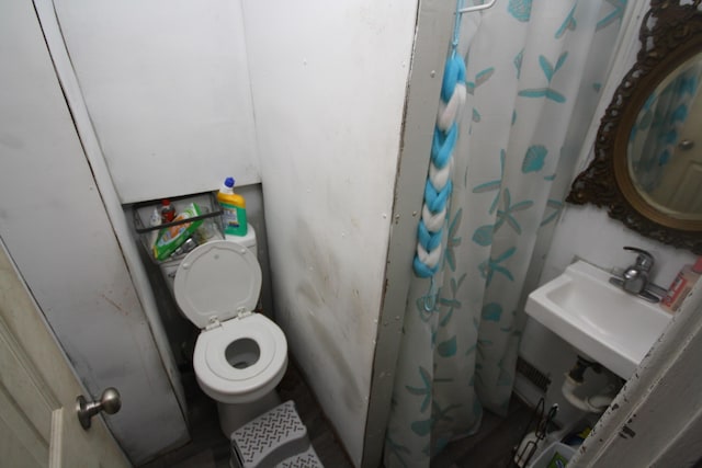 130 W Paterson St, Kalamazoo, MI 49007 - bathroom with a sink, toilet, and a shower with shower curtain