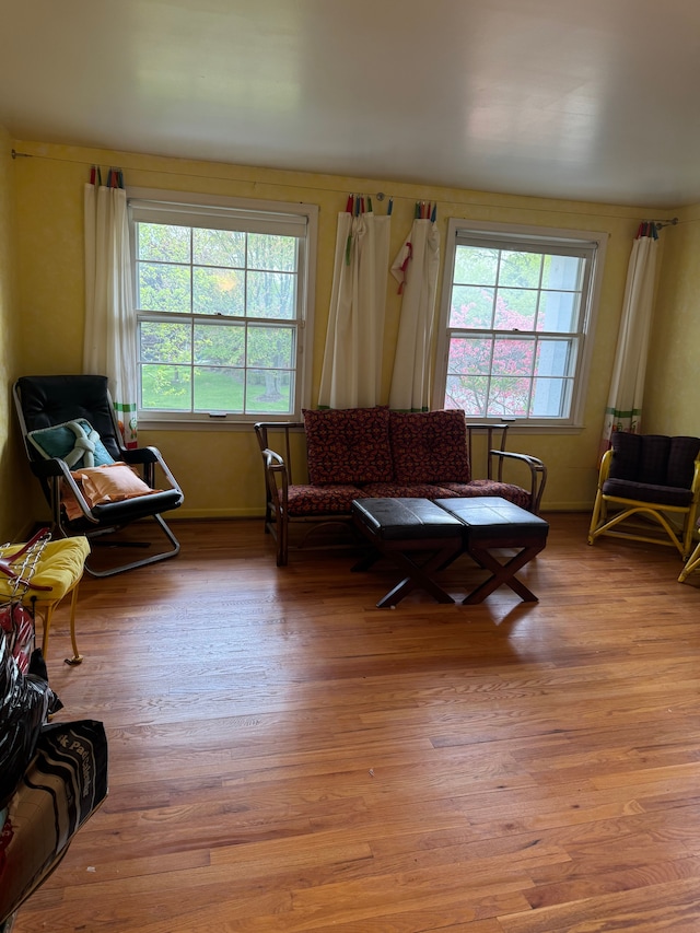 living room featuring plenty of natural light and light wood-style floors