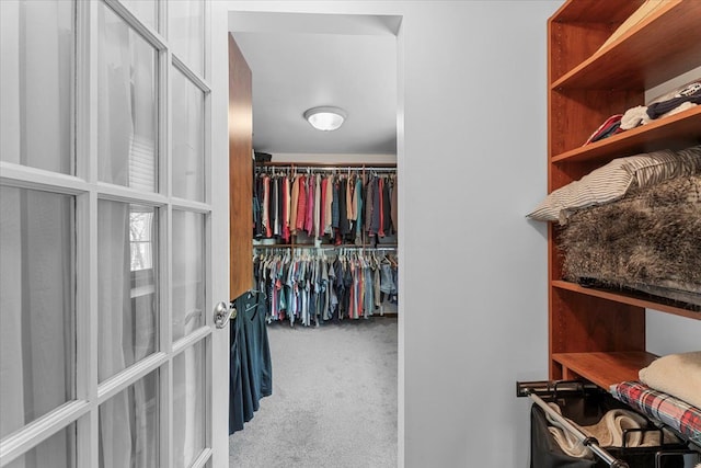 walk in closet with carpet floors