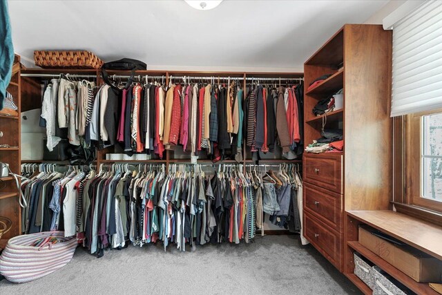 spacious closet featuring carpet