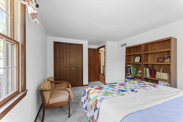 carpeted bedroom featuring a closet and multiple windows