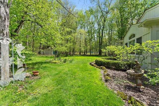 view of grassy yard