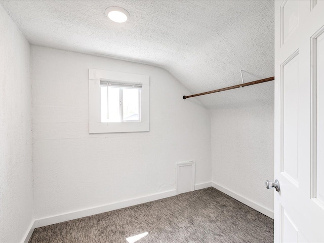 additional living space with lofted ceiling, carpet floors, a textured ceiling, and baseboards